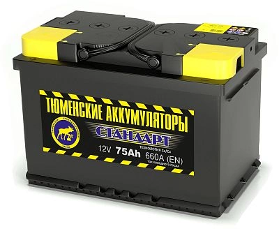 Автомобильный аккумулятор TYUMEN Battery STANDART 6CT-75.0 R (278х175х190)